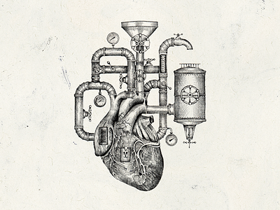 Anatomical Heart