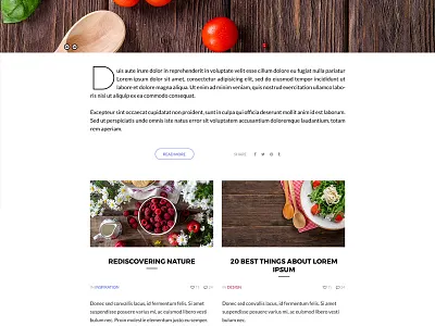 More of Ferro blog clean minimal minimalist template