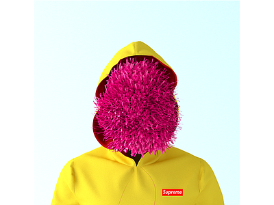 Hoodie Supreme 3d 3d animation 3d illustration adobe cinema4d corona illustration lowpoly maya octane