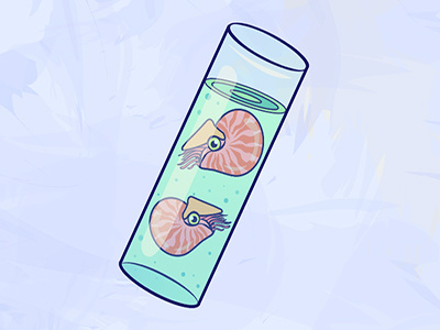 Evolution: Nautilus creature evolution illustration nautilus ocean prehistoric science vector