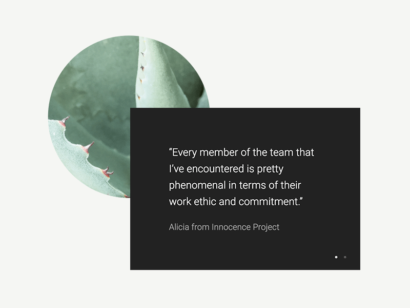 We join our clients with key in-house roles that help them grow. animation branding cactus clients logo newyork nonprofit quotes ui ux web website