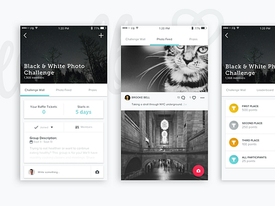 Photo Challenge challenge ios mobile social ui ux