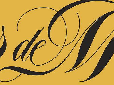 Dead Proposal Peek calligraphy hand lettering lettering process script spencerian wip