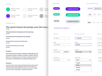 Sweep - Design System brand branding buttons colors front end gui inputs style guide