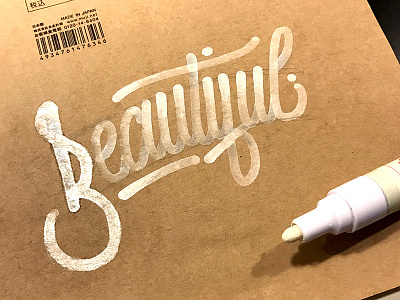 Beautiful brush lettering brush type calligraphy graffiti hand lettering handmade handmade font lettering lettering design monoline type typography