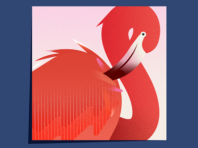 Flamingo animals bird flamingo illustration nature