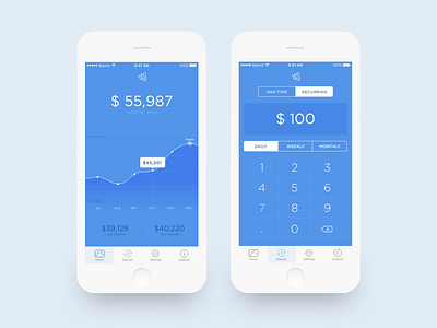 Money Management app money ui