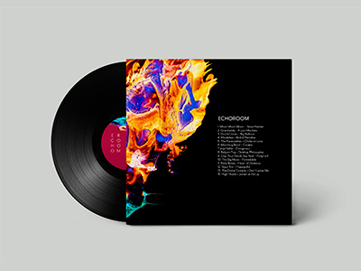 Music Label Echoroom illustrator indie music photoshop rock