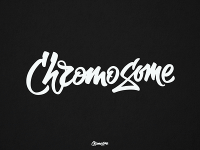 ChromoSome calligraphy handlettering lettering ligature logo type typography