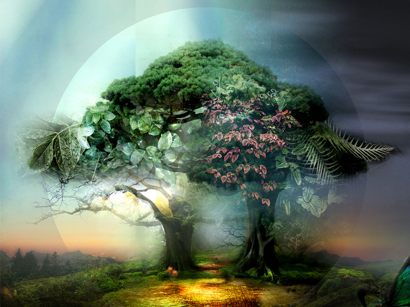 Example of The Tree of Life