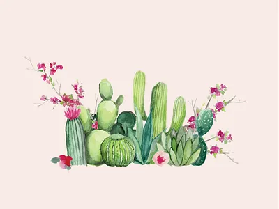 Invitation Study cactus gouache invitation watercolor wedding invitation