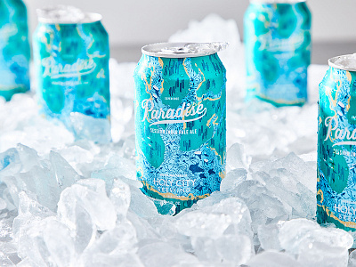 Paradise Ale beer beer can coastal illustration packaging