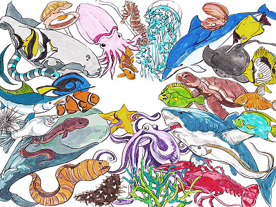 Aesop Fables-Marine animals fables illustration