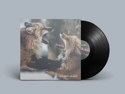 Album Cover Concept album cover record