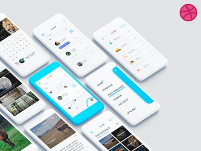 Dubai Zoo UX/UI app interaction sketch sketchapp ui usability user interface ux zoo