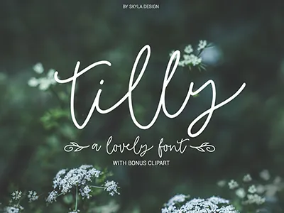 Tilly Romantic Wedding Font Skyla Design cursive font lovely monoline romantic script thin wedding