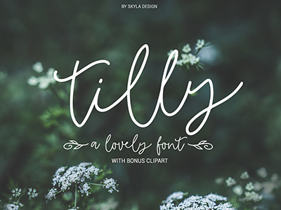 Tilly Romantic Wedding Font Skyla Design cursive font lovely monoline romantic script thin wedding