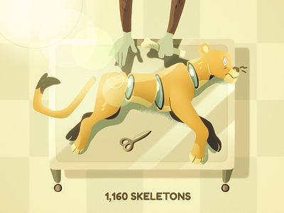 Lion Bone Trade africa awareness big cat bone endangered infographic lion psa trade