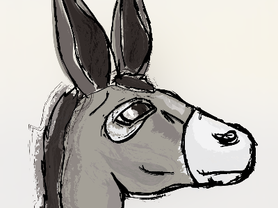 Donkey!
