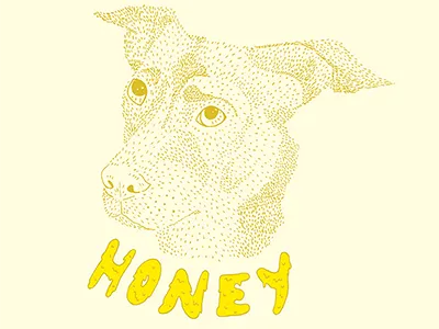 Honey dog illustration typography