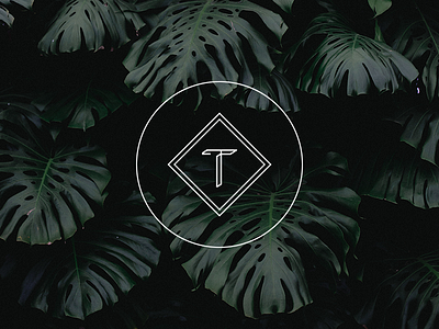 Dawn Temple Brand Mark brand branding design illustration line marketing millenial minimalist modern personal physical space tech