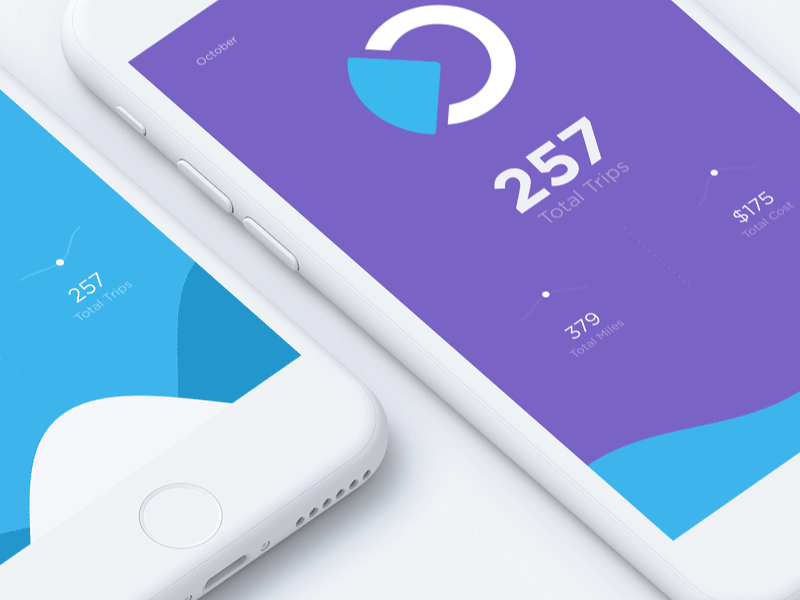 Trip Report Animation app clean design dashboard ios style details flat icon elegant simple flat interface layout phone screen tracking gps location ui ux chart design