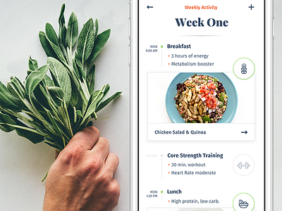 Ēvolve – Health Made Simple (concepts) evolve fitness health journal pota recipe serif timeline ui ux