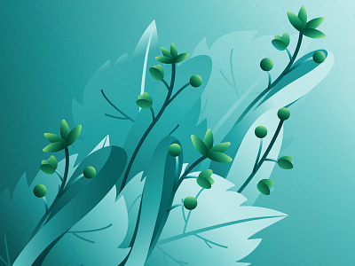 Linden flower gradient illustration linden plant