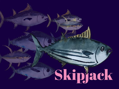 Do you eat tuna? Not all tuna is the same advertising editorial fish food food branding packaging tuna