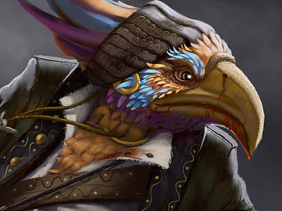 Pirate bird birds character conceptart fantasy guitars illustration pirate