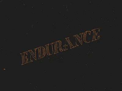 Endurance endurance hand lettering letter navy orange texture