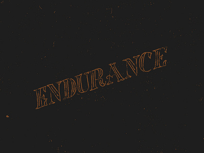 Endurance endurance hand lettering letter navy orange texture