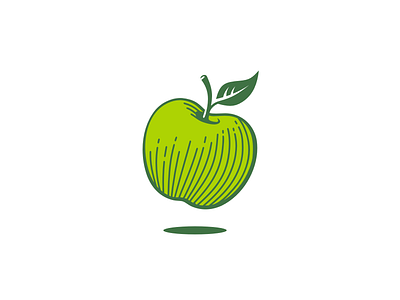 Apple apple cider fruit illustration