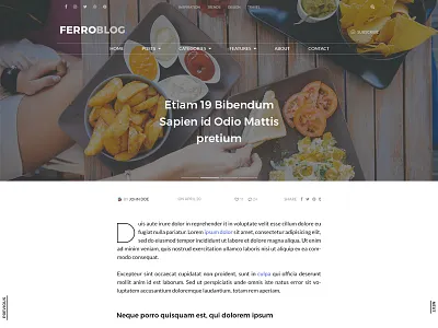 Ferro - Single Blog Post blog minimal