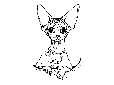 Sphynx Cat Illustration - Line Drawing alien animal drawing big ears cat illustration creepy kitty naked cat sphynx cat weird cat wrinkly cat