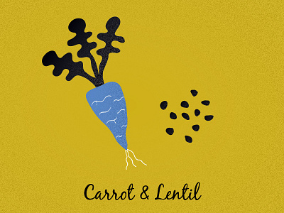 Carrot & Lentil food illustration vegetable