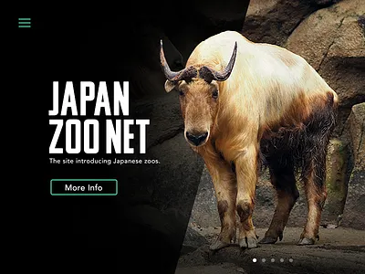 DailyUI 003 - Landing Page dailyui landing page ui web zoo