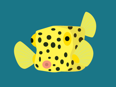 Box Fish box fish fish gillustration gillustrations ocean sea water