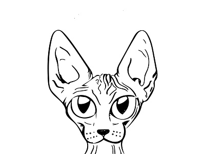 Sphynx Cat - Line Drawing Comic Style alien animal drawing big ears cat illustration creepy kitty naked cat sphynx cat weird cat wrinkly cat