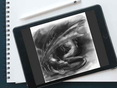 ipad sketch black and white digital dragon fantasy illustration ipad sketch