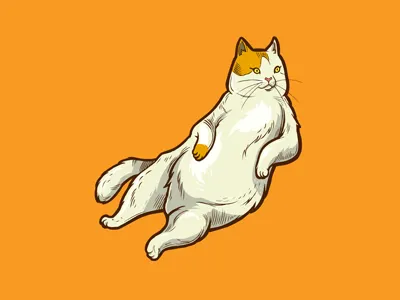 FatCat apparel cat cats design drawing fatcat flash illustration kitty san francisco tee