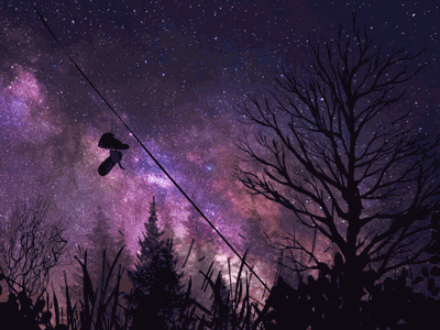 Magic Shoes aftereffects animation artwork galaxies gif hicking jhallaarts shoes whispers