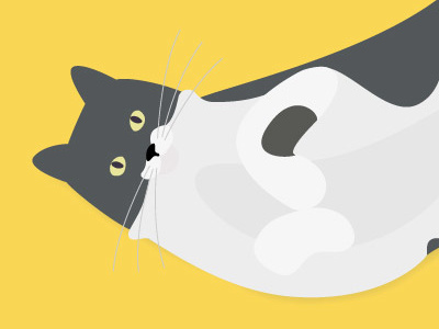 Pet illustration cat flat illustration pet whiskers