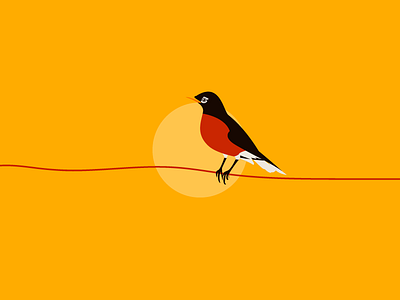 Bird & Sun bird design graphic illustrator vector
