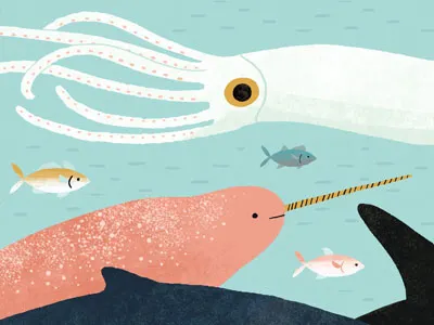 Narwhal cephalopods fish giant squid narwhal nature ocean sea sea creatures weird