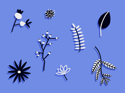 Flora flora flower illustration pastel photoshop plants purple