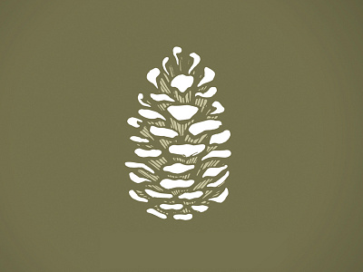 Pinecone Sketch illustration pinecone sketch