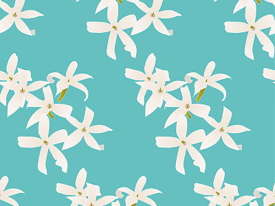 Jasmine Flower Pattern design design illustration jasmine pattern