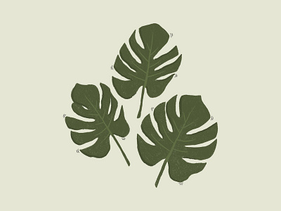 Monstera brushes illustration leaves monstera photoshop plant