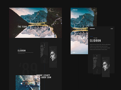 Elidron design uiux video web design